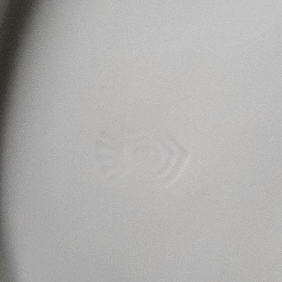 Royal Rudolstadt Prussia Handpainted Plate with White Flowers - Picture 10 of 10